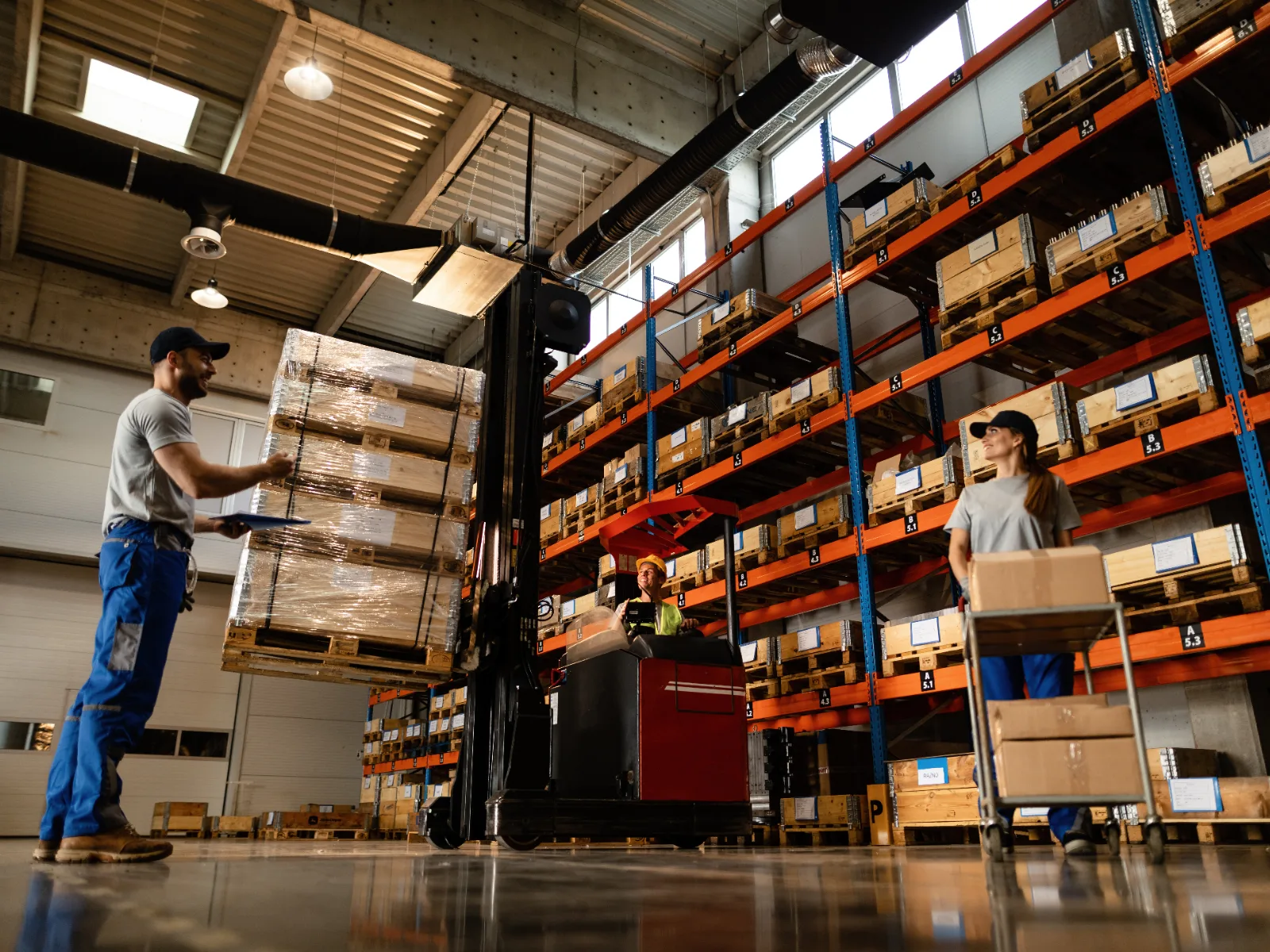 Lighting and electrical products stored at a wholesale distribution warehouse.